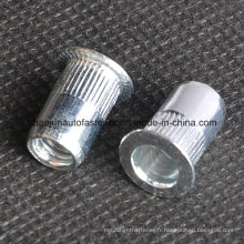 Blue Zinc Plated Furniture Rivet Nut (CZ062)